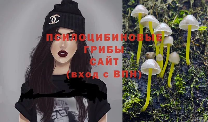 Псилоцибиновые грибы Psilocybine cubensis  Островной 